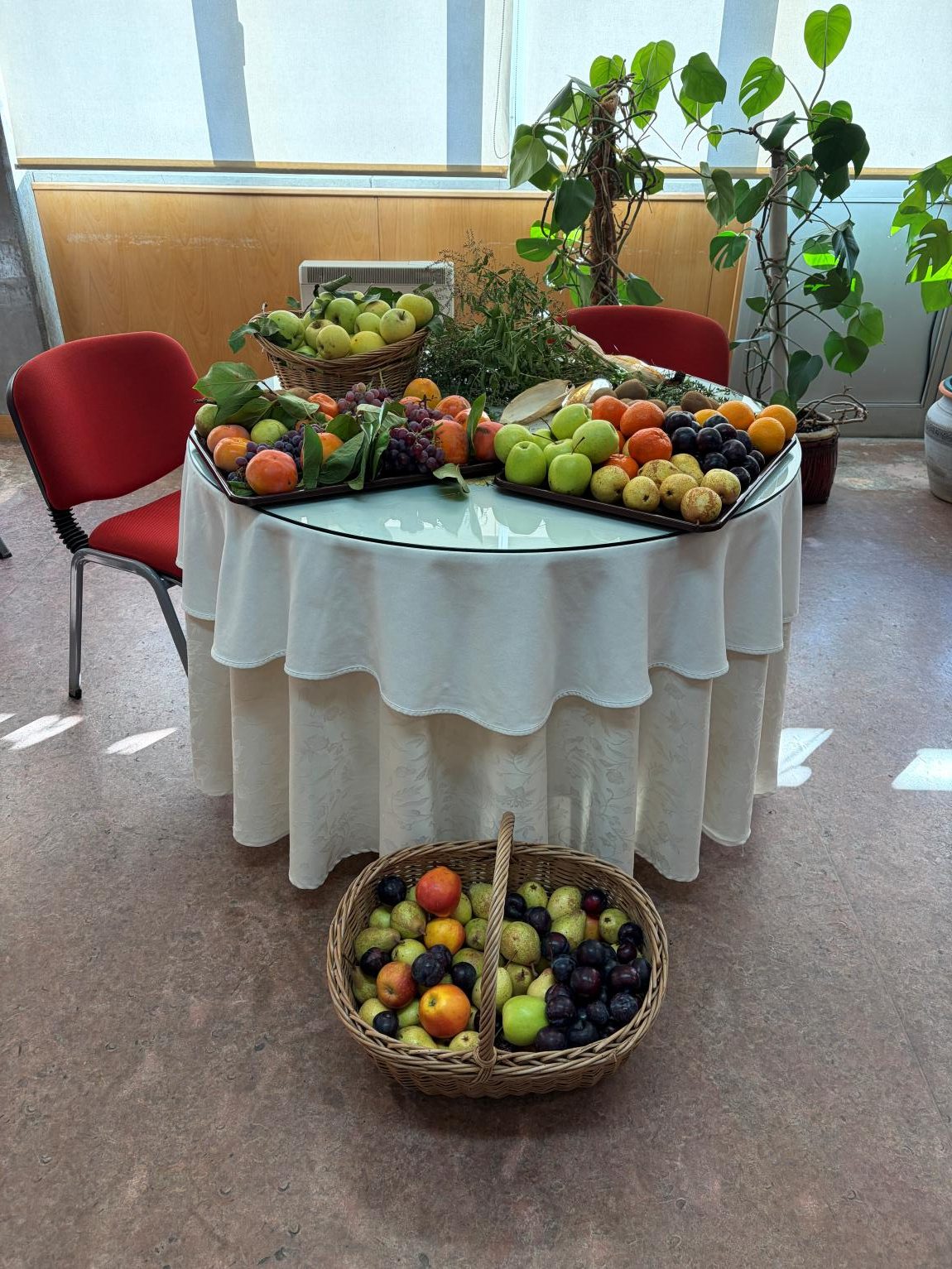 Exposição de fruteiras e cestas de fruta na Escola Nadir Afonso